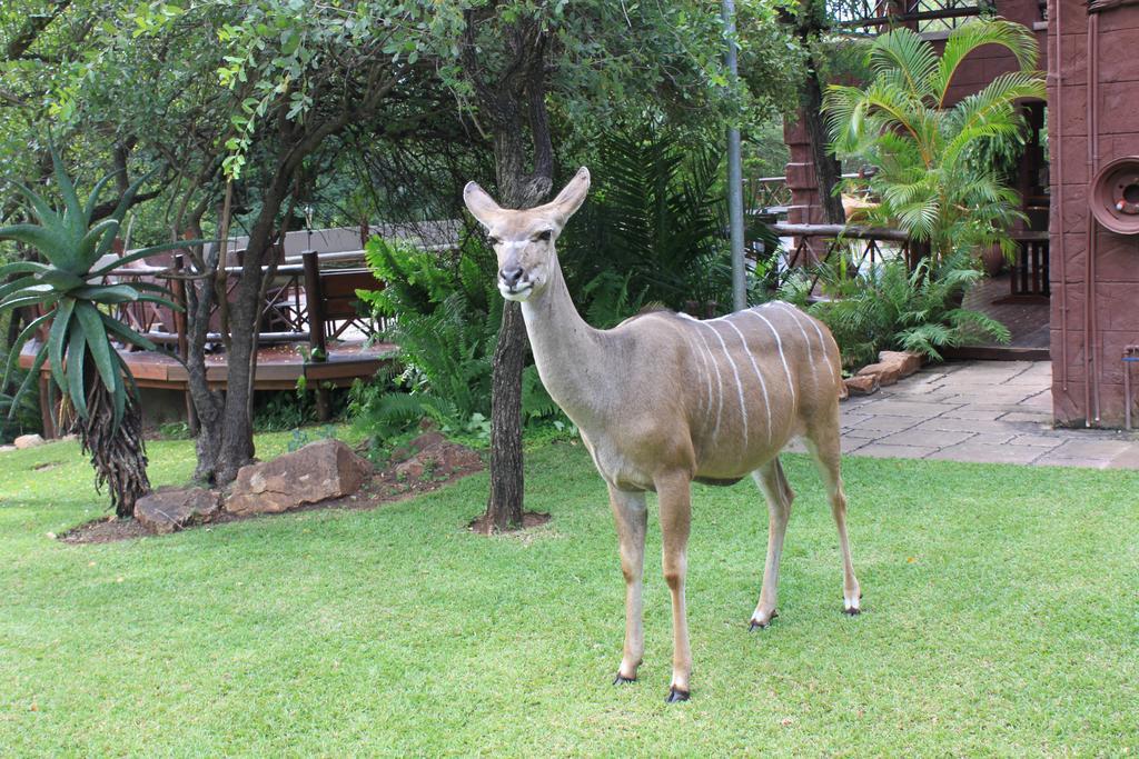 Grand Kruger Lodge And Spa Marloth Park Exterior photo