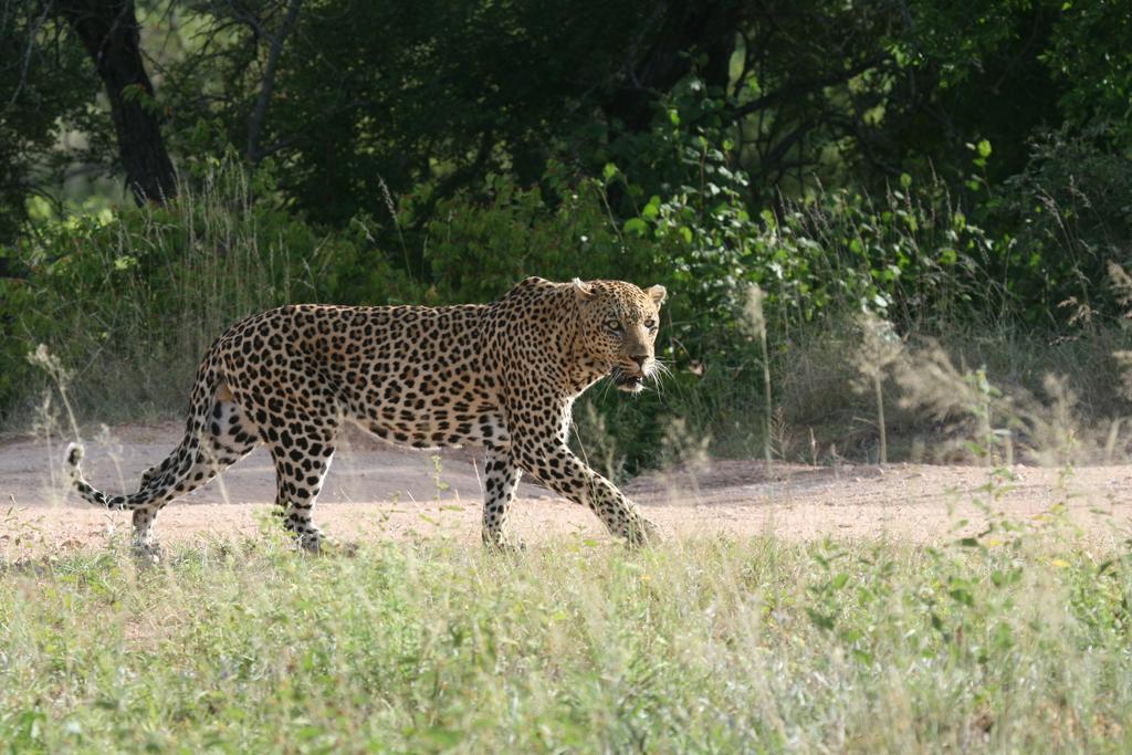 Grand Kruger Lodge And Spa Marloth Park Exterior photo